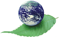 Industrial Poly & Sustainable Packaging Solutions